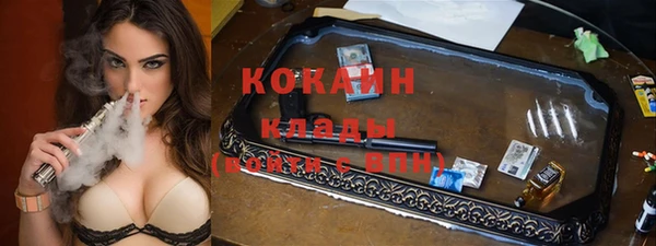 гашик Горняк
