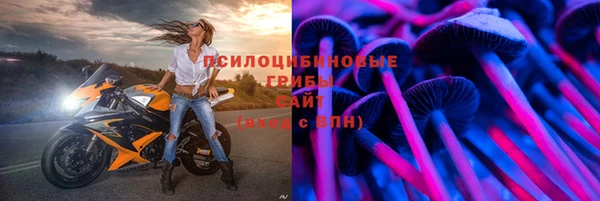 гашик Горняк