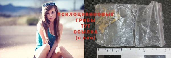 синтетический гашиш Горнозаводск