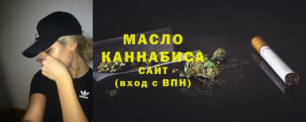 гашик Горняк