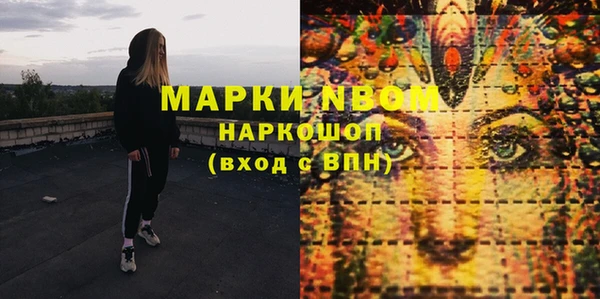гашик Горняк