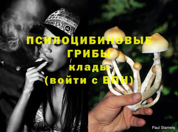 гашик Горняк