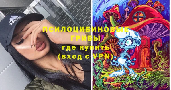 гашик Горняк