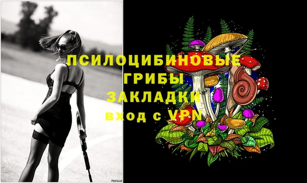 mdpv Горно-Алтайск