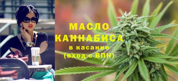 гашик Горняк