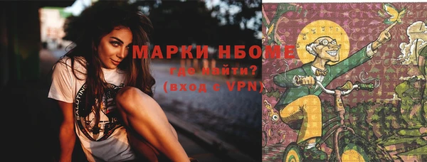 гашик Горняк