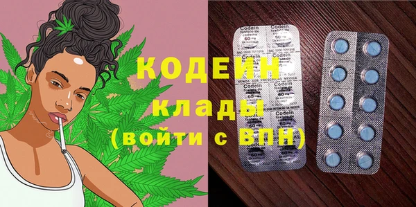 гашик Горняк