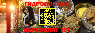 ГАЛЛЮЦИНОГЕННЫЕ ГРИБЫ Дубна