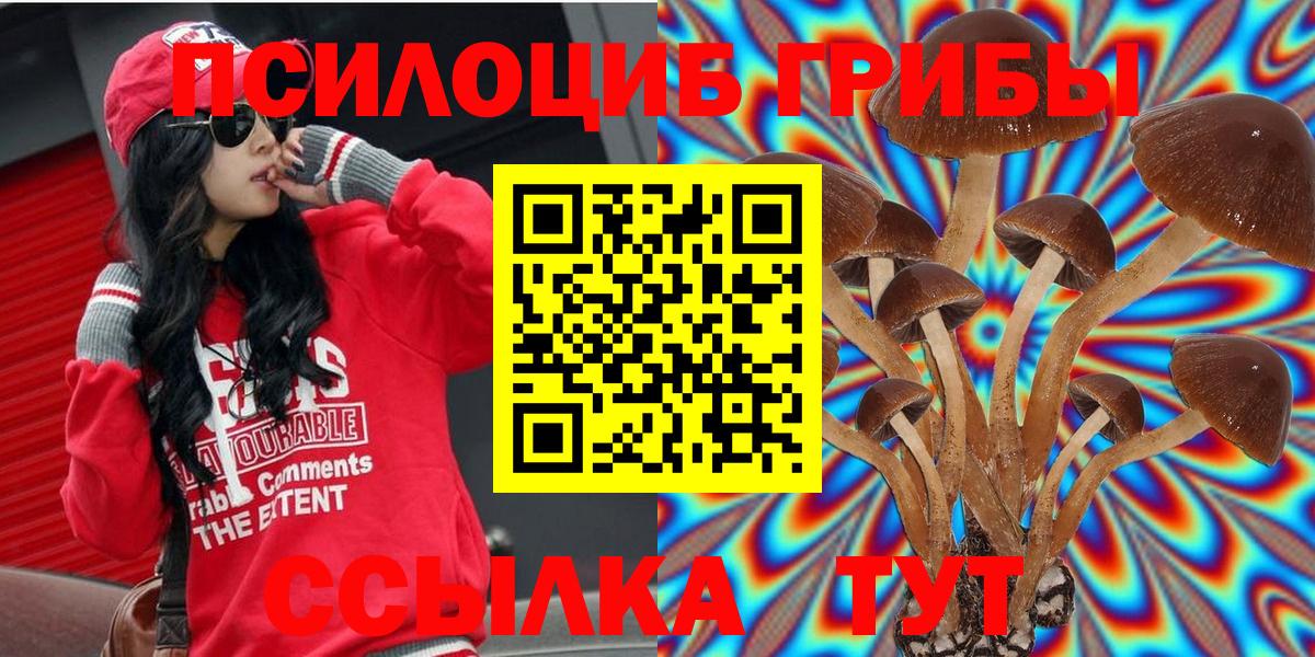 Псилоцибиновые грибы Magic Shrooms  закладки  Москва  Вход с VPN 